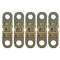 Victron MIDI-Fuse 80A/58V M6 for 48V *Pack of 5 [CIP134080020]